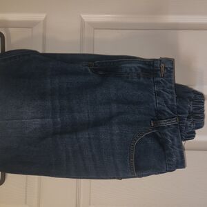Women's Plus Size Blue Jean Joggers